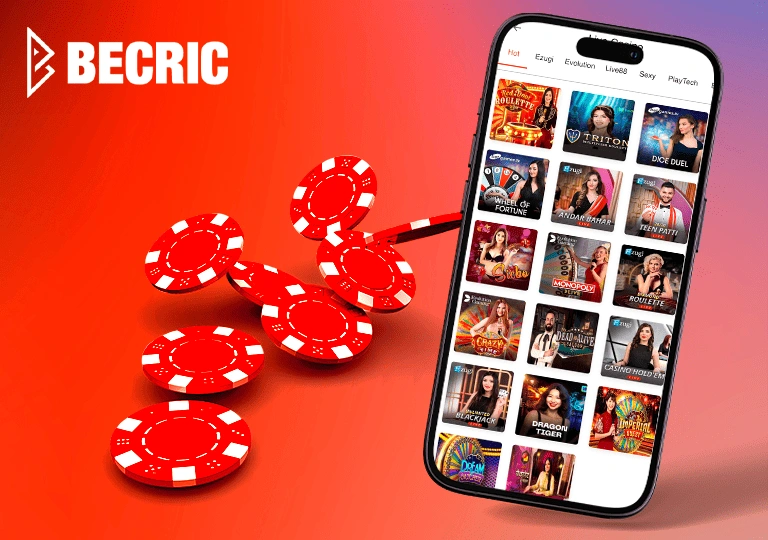 becric app conclusion