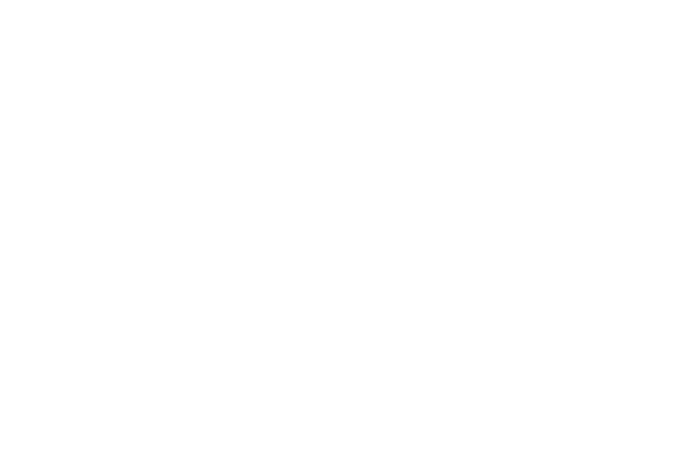 vegas11