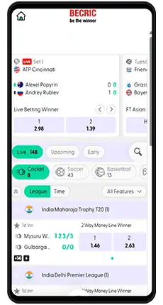 becric aviator game